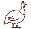 storage/modelfiles/general_configs/26/10/13/e3/pintade-6acdf0b31ee9d-6acdf20acc7ff.jpg